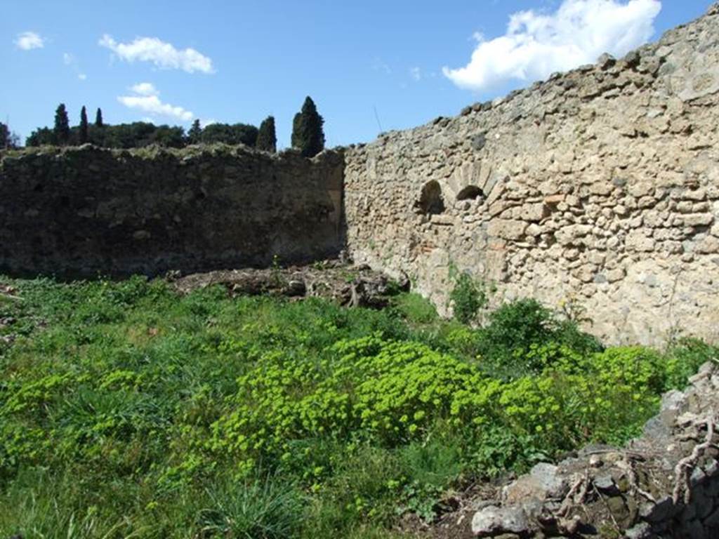 I.2.20 Pompeii. March 2009. North-west corner of garden area. According to Jashemski, the garden was excavated in 1873. It had a roofed passageway on the east and the south. In the north-west corner there was a masonry biclinium with a round table. There was a niche lararium on the north garden wall. See Jashemski, W. F., 1993. The Gardens of Pompeii, Volume II: Appendices. New York: Caratzas. (p.24)