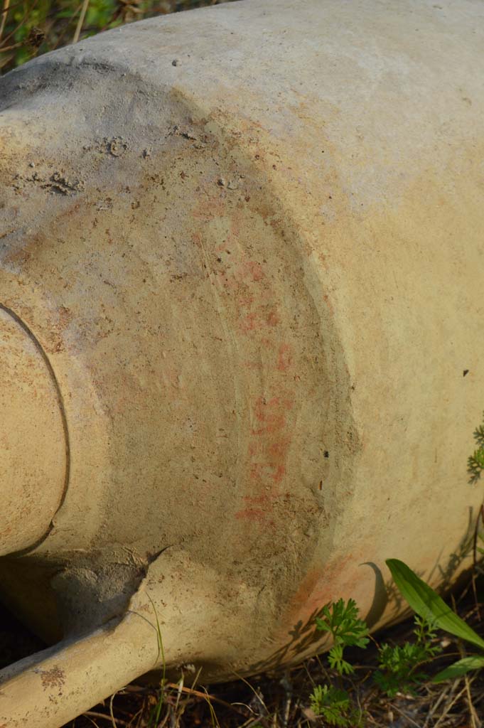 I.2.24 Pompeii. October 2017. Red lettering on the neck of the amphora.
Foto Taylor Lauritsen, ERC Grant 681269 DÉCOR.