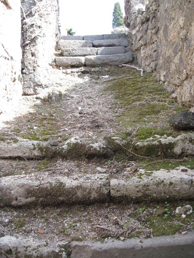 I.3.3 Pompeii. September 2010. Looking east up the steps. Clear space top of image leading to upper peristyle part of house. The doorway on the left leading to the subterranean level.
Photo courtesy of Drew Baker.