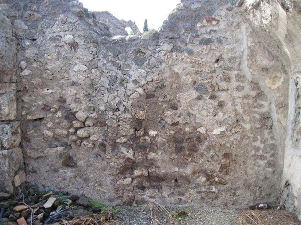 I.3.6 Pompeii. September 2010. West wall of vaulted room on north side of entrance room.
Photo courtesy of Drew Baker.
