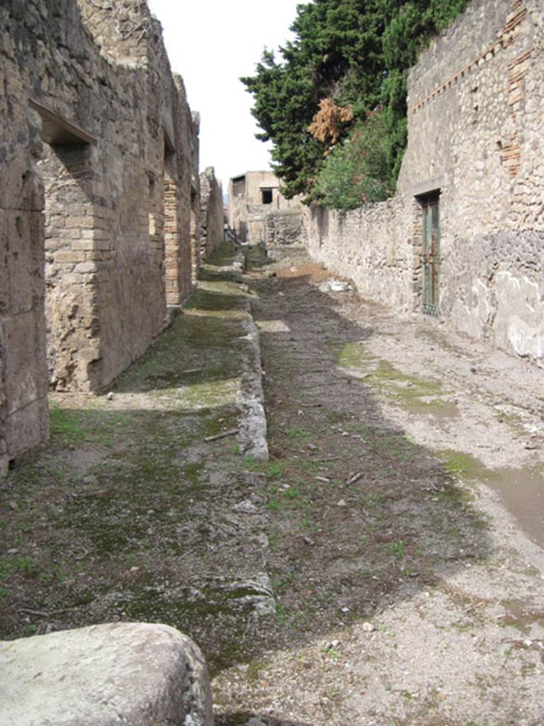 I.3.29 Pompeii. September 2010. Looking north along Vicolo del Citarista. Photo courtesy of Drew Baker.