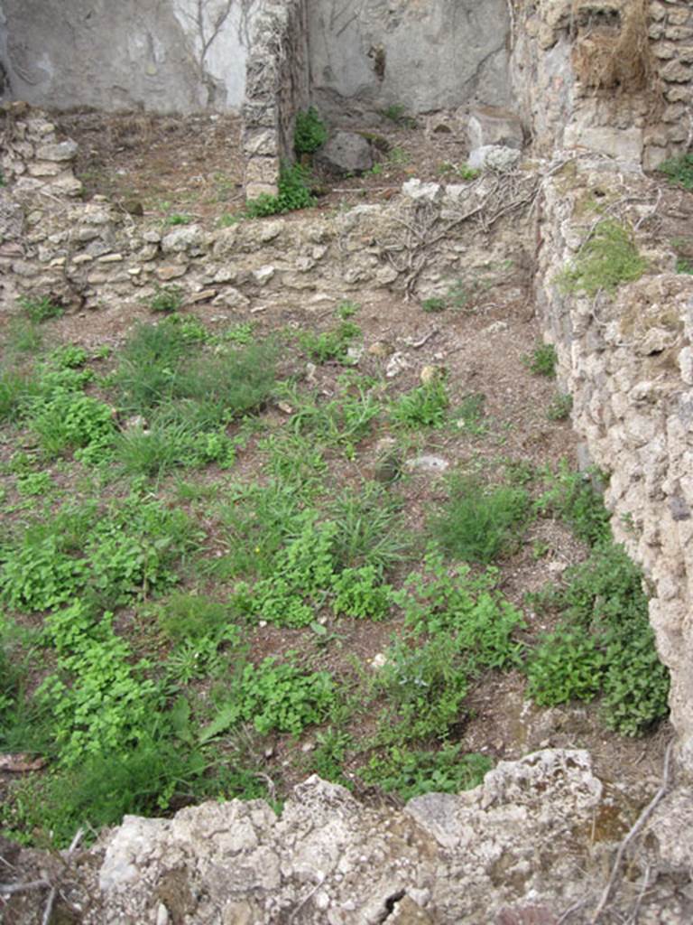 I.3.30 Pompeii. September 2010. Looking north along eastern part of peristyle garden. 
Photo courtesy of Drew Baker.