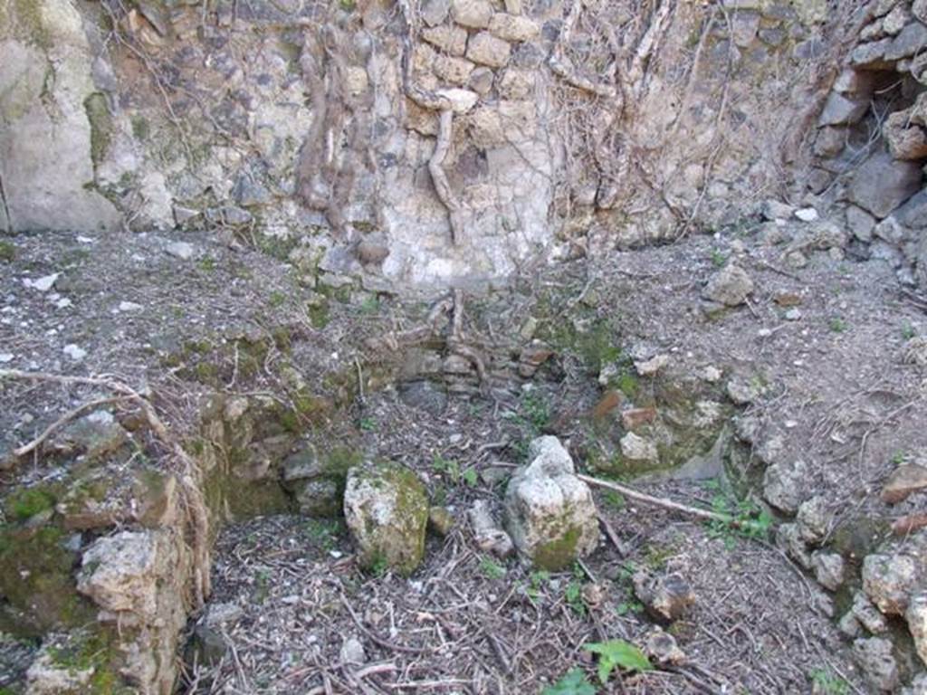 I.3.30 Pompeii. March 2009. Room 1, west wall of kitchen.