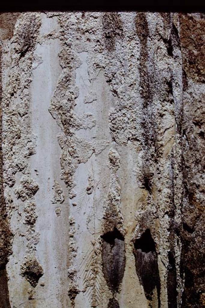 I.4.2 Pompeii. 1971. Detail of graffiti on engaged column at north end of peristype. 
Photo by Stanley A. Jashemski.
Source: The Wilhelmina and Stanley A. Jashemski archive in the University of Maryland Library, Special Collections (See collection page) and made available under the Creative Commons Attribution-Non Commercial License v.4. See Licence and use details. J71f0151