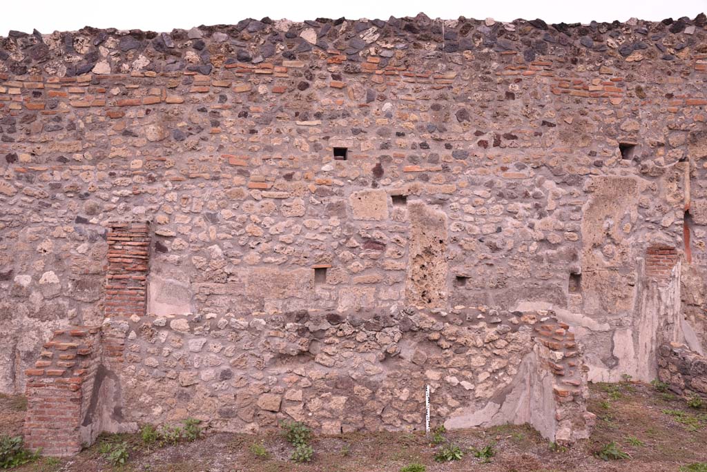 I.4.2 Pompeii. October 2019. North wall of tablinum.
Foto Tobias Busen, ERC Grant 681269 DÉCOR.