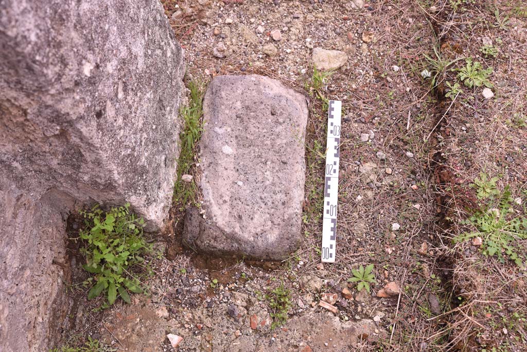 I.4.9 Pompeii. October 2019. Tablinum h, detail at base of south wall in south-west corner of tablinum.
Foto Tobias Busen, ERC Grant 681269 DÉCOR.