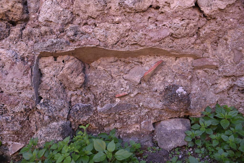I.4.12 Pompeii. October 2019. Room d, detail from lower south wall.
Foto Tobias Busen, ERC Grant 681269 DÉCOR.