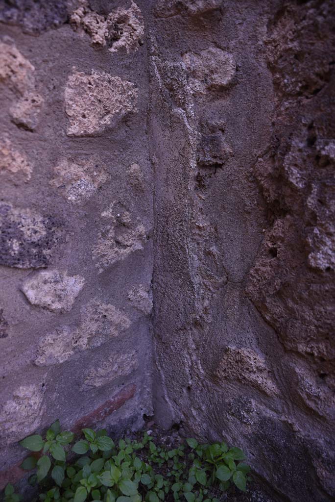 I.4.25/I.4.5 Pompeii. October 2019. Small room 5, detail from north wall in north-west corner.
Foto Tobias Busen, ERC Grant 681269 DÉCOR.