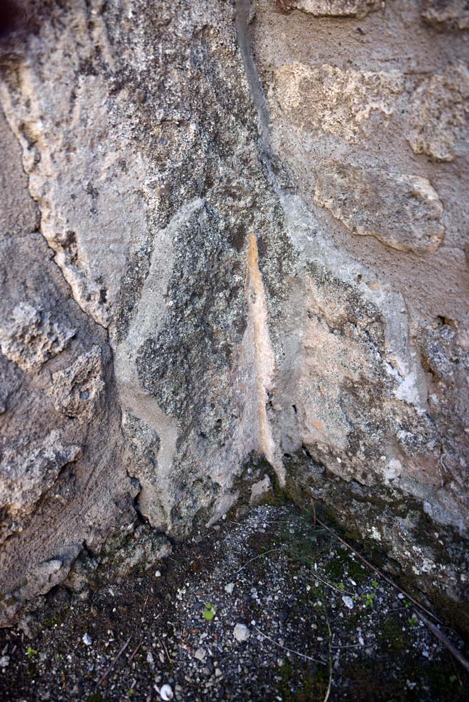 I.4.25/1.4.5 Pompeii. October 2019. Cubiculum 8, detail from south-east corner.
Foto Tobias Busen, ERC Grant 681269 DÉCOR.