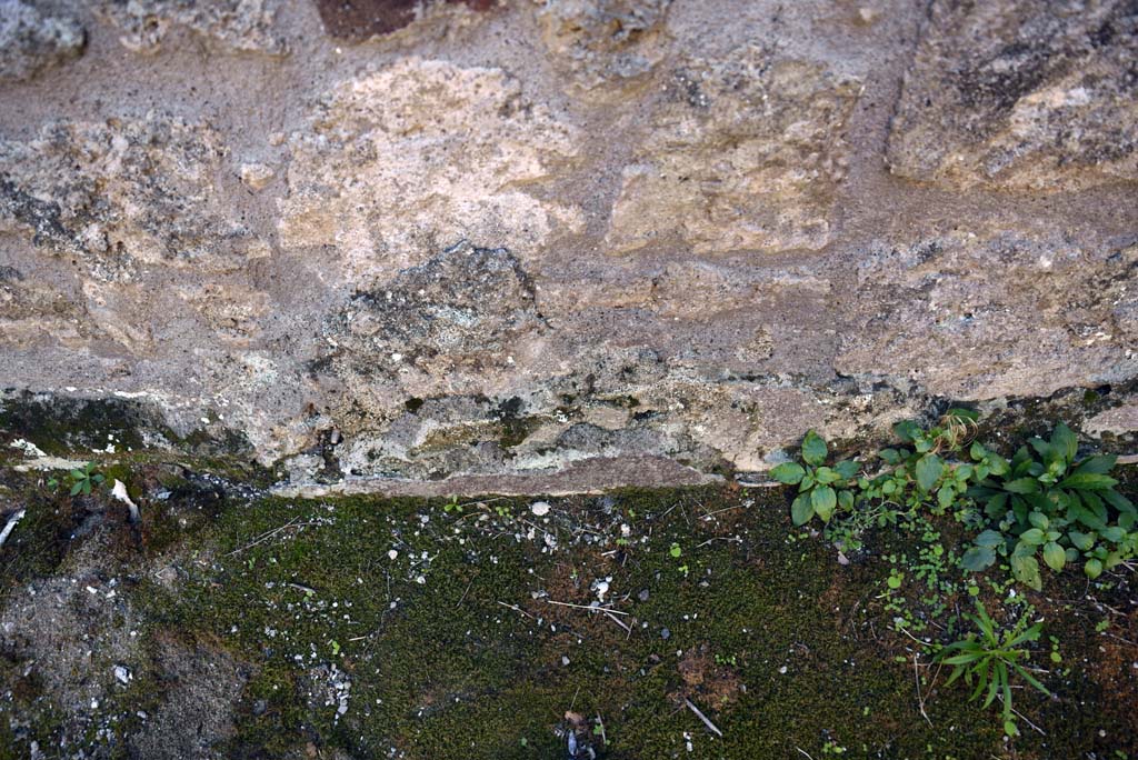 I.4.25/1.4.5 Pompeii. October 2019. Cubiculum 8, detail from west end of lower south wall.
Foto Tobias Busen, ERC Grant 681269 DÉCOR.