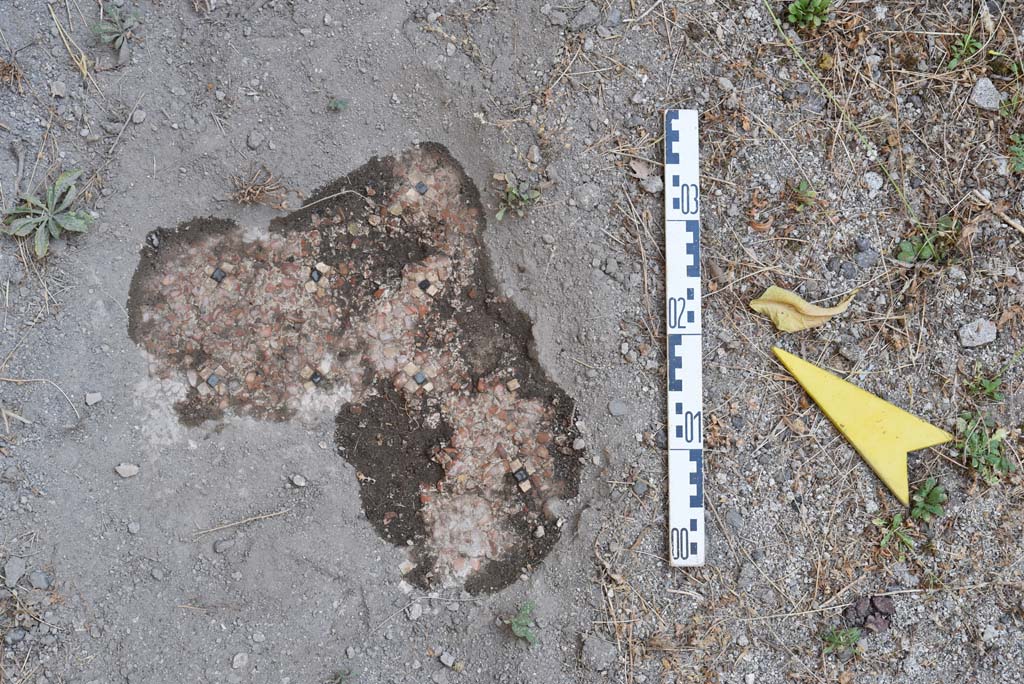 I.4.25 Pompeii. September 2020. Room 52, detail of flooring near north wall. 
Foto Tobias Busen, ERC Grant 681269 DÉCOR