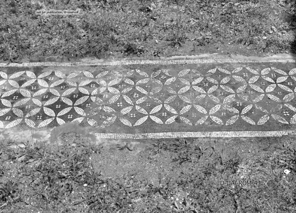 I.4.25 Pompeii. c.1930. East ala, the flooring was of mosaic with threshold of white circles.
DAIR 41.715. Photo © Deutsches Archäologisches Institut, Abteilung Rom, Arkiv.
See Pernice, E.  1938. Pavimente und Figürliche Mosaiken: Die Hellenistische Kunst in Pompeji, Band VI. Berlin: de Gruyter, 
(described as “Ala 54”. see taf. 36,6).