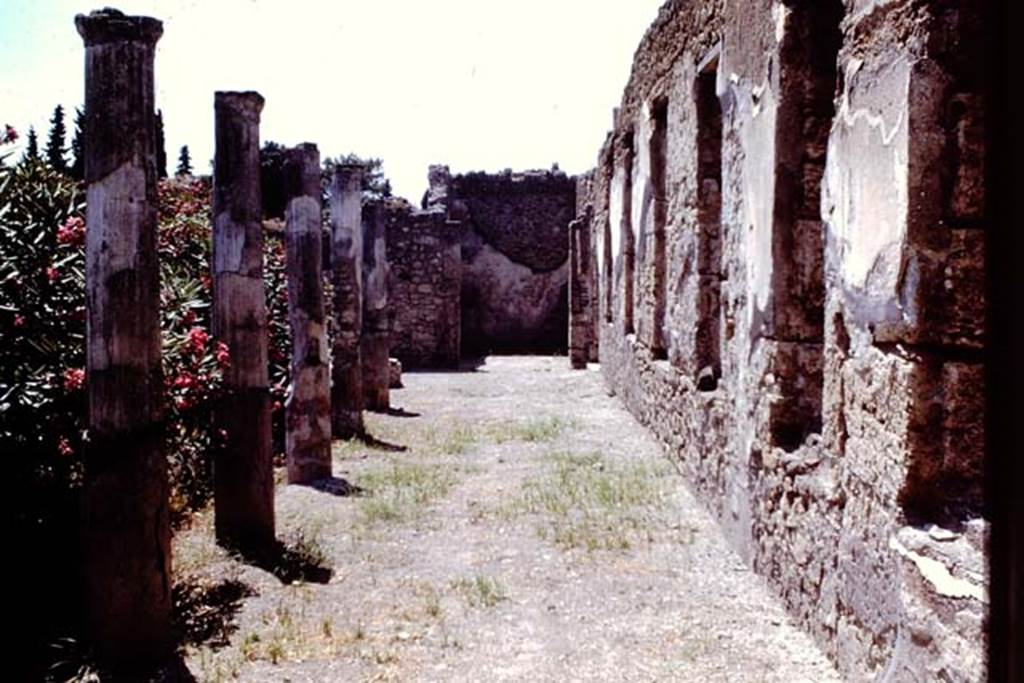 I.4.25 Pompeii. 1966. Looking west along windows on north side of lower peristyle 32. Photo by Stanley A. Jashemski.
Source: The Wilhelmina and Stanley A. Jashemski archive in the University of Maryland Library, Special Collections (See collection page) and made available under the Creative Commons Attribution-Non Commercial License v.4. See Licence and use details.
J66f0565