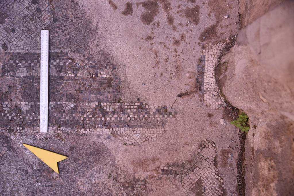 I.4.25 Pompeii. October 2019. Room 34, detail of flooring near south wall, with detail of flooring separating alcove, across centre.
Foto Tobias Busen, ERC Grant 681269 DÉCOR.