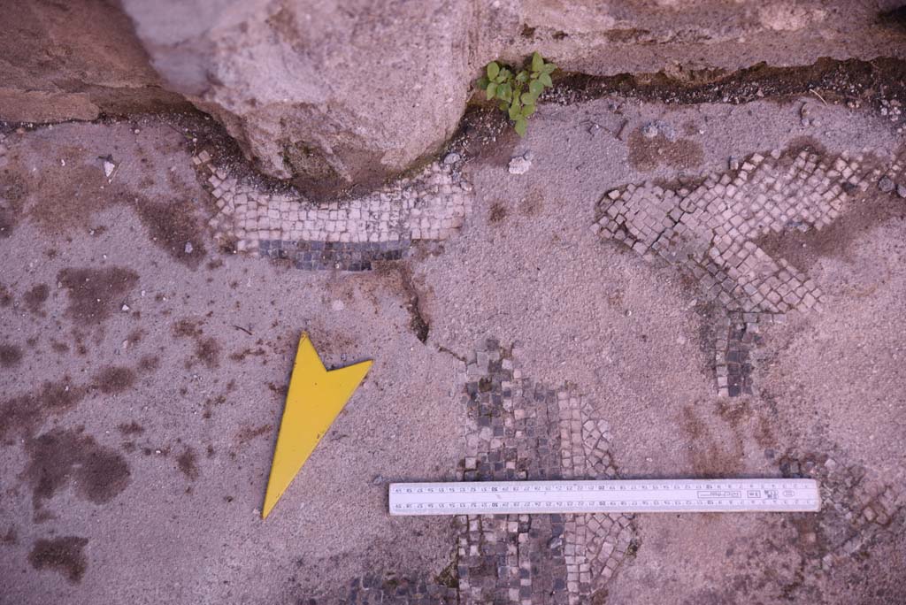 I.4.25 Pompeii. October 2019. Room 34, detail of flooring near south wall, with alcove flooring, on left.
Foto Tobias Busen, ERC Grant 681269 DÉCOR.