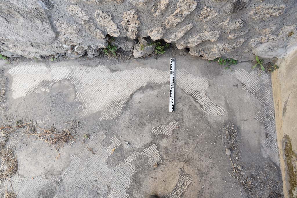 I.4.25 Pompeii. September 2020. Room 34, detail of flooring in alcove, near south-east corner, on right.
Foto Tobias Busen, ERC Grant 681269 DÉCOR.