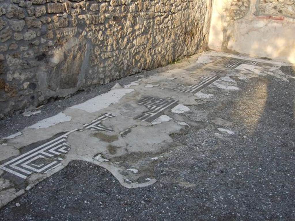 I.4.25 Pompeii. December 2007. Room 35, mosaic floor from north side of exedra.