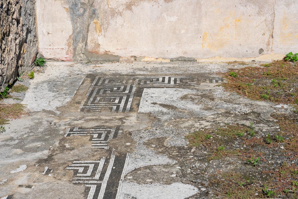 I.4.25 Pompeii. October 2023. 
Room 35, looking across mosaic flooring towards east wall in north-east corner. Photo courtesy of Johannes Eber.