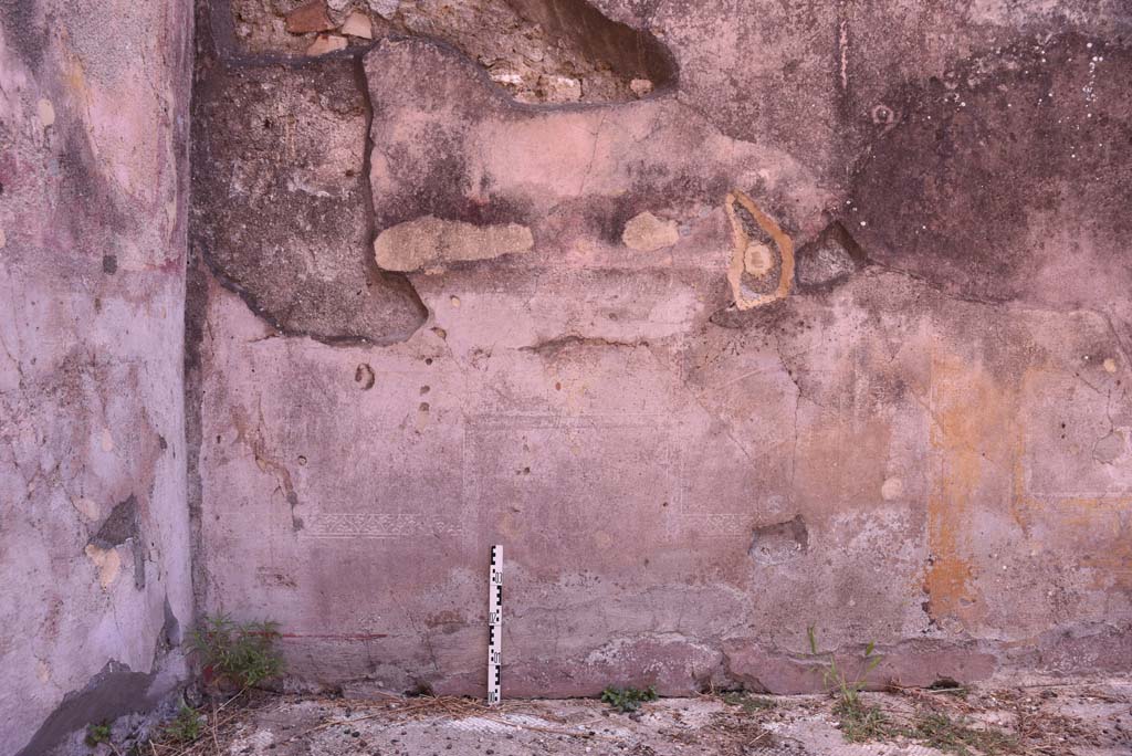 I.4.25 Pompeii. September 2020.  Room 35, detail of zoccolo/dado on south wall in south-east corner.
Foto Tobias Busen, ERC Grant 681269 DÉCOR.