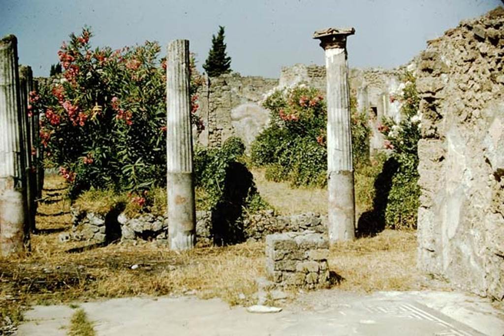 1.4.25 Pompeii. 1957. Looking from room 35 across peristyle garden area. Photo by Stanley A. Jashemski.
Source: The Wilhelmina and Stanley A. Jashemski archive in the University of Maryland Library, Special Collections (See collection page) and made available under the Creative Commons Attribution-Non-Commercial License v.4. See Licence and use details.
J57f0329