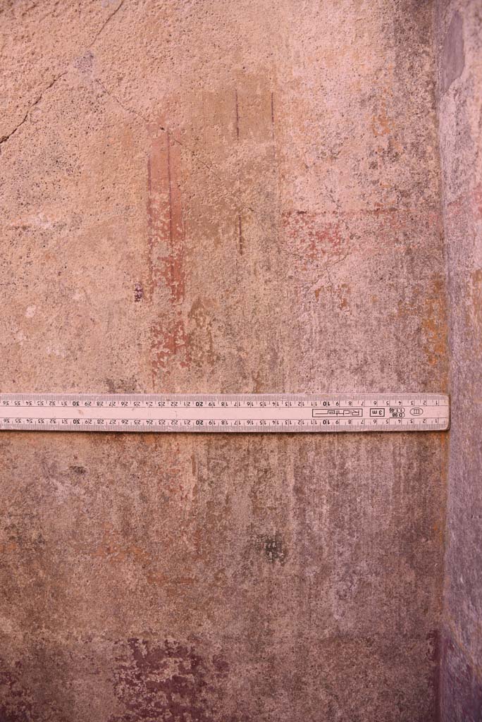I.4.25 Pompeii. October 2019.   
Room 36, detail from west end of south wall in south-west corner of cubiculum.
Foto Tobias Busen, ERC Grant 681269 DÉCOR.