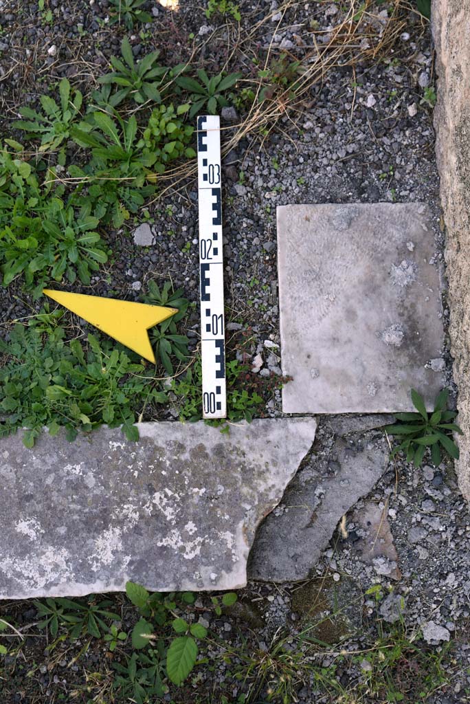 I.4.25/1.4.5 Pompeii. October 2019. 
Tablinum 14, threshold of doorway from south side of east end, near doorway to room 36.
Foto Tobias Busen, ERC Grant 681269 DÉCOR.