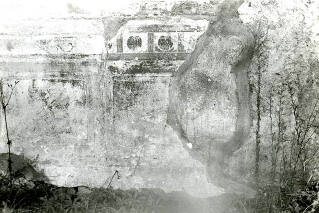 I.4.5 Pompeii. 1968. 
Casa del Citarista, room 19, zoccolo on S wall at west end, and shell frieze. Photo courtesy of Anne Laidlaw.
American Academy in Rome, Photographic Archive. Laidlaw collection _P_68_8_34.
