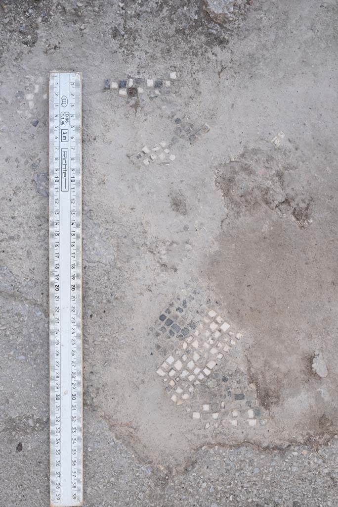 I.4.5 Pompeii. October 2019. 
Room 20/19, detail of remaining mosaic flooring in centre of doorway threshold.
Foto Tobias Busen, ERC Grant 681269 DÉCOR.