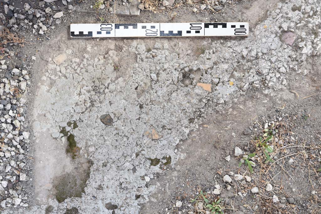 I.4.25 Pompeii. September 2020. Room 20, antechamber, detail of flooring in south-east corner.
Foto Tobias Busen, ERC Grant 681269 DÉCOR.