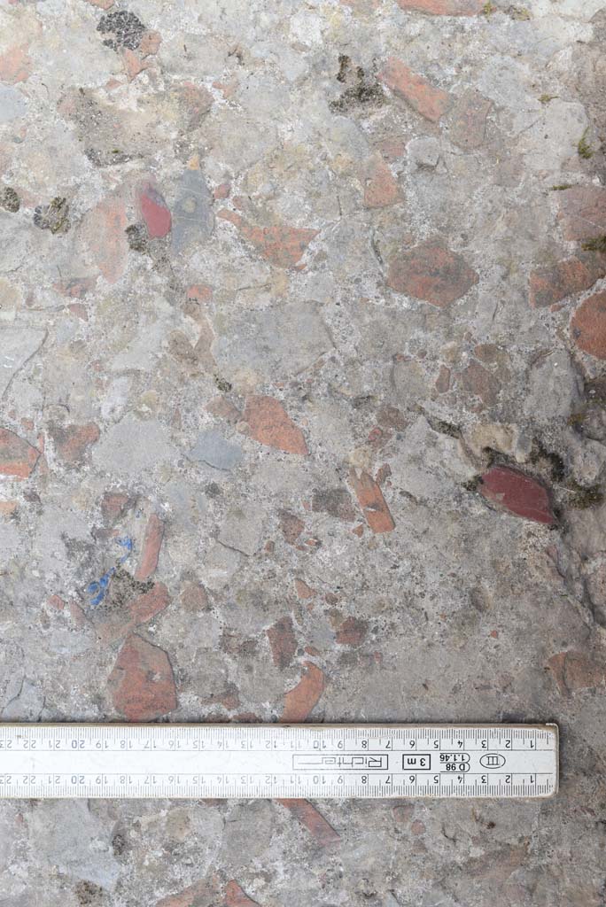 I.4.5 Pompeii. September 2020. Room 20, flooring detail in cubiculum. 
Foto Tobias Busen, ERC Grant 681269 DÉCOR.