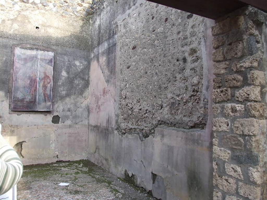 I.4.25 Pompeii. December 2006. 
Room 20, south wall of cubiculum of Mars and Venus. This used to show the legend of Leda and the Swan.
Now in Naples Archaeological Museum. Inventory number 120034.