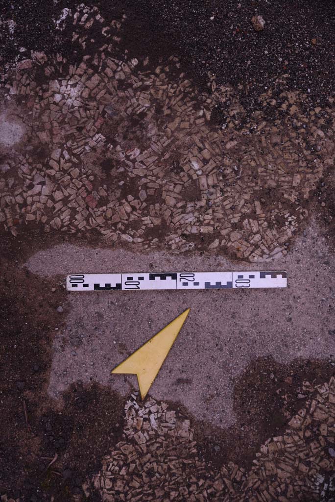 I.4.25 Pompeii. October 2019.
Unnumbered room next to room 30, (? room 66, cubiculum). Detail of flooring.
Foto Tobias Busen, ERC Grant 681269 DÉCOR.