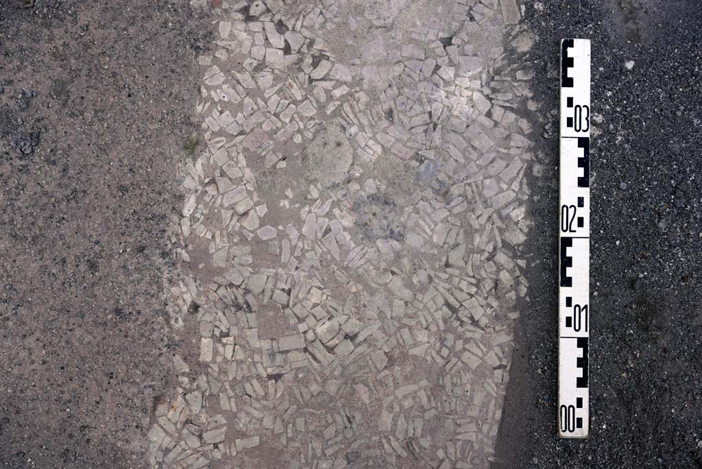 I.4.25 Pompeii. October 2019. Unnumbered room next to room 30, (? room 66, cubiculum). Detail of flooring.
Foto Tobias Busen, ERC Grant 681269 DÉCOR.
