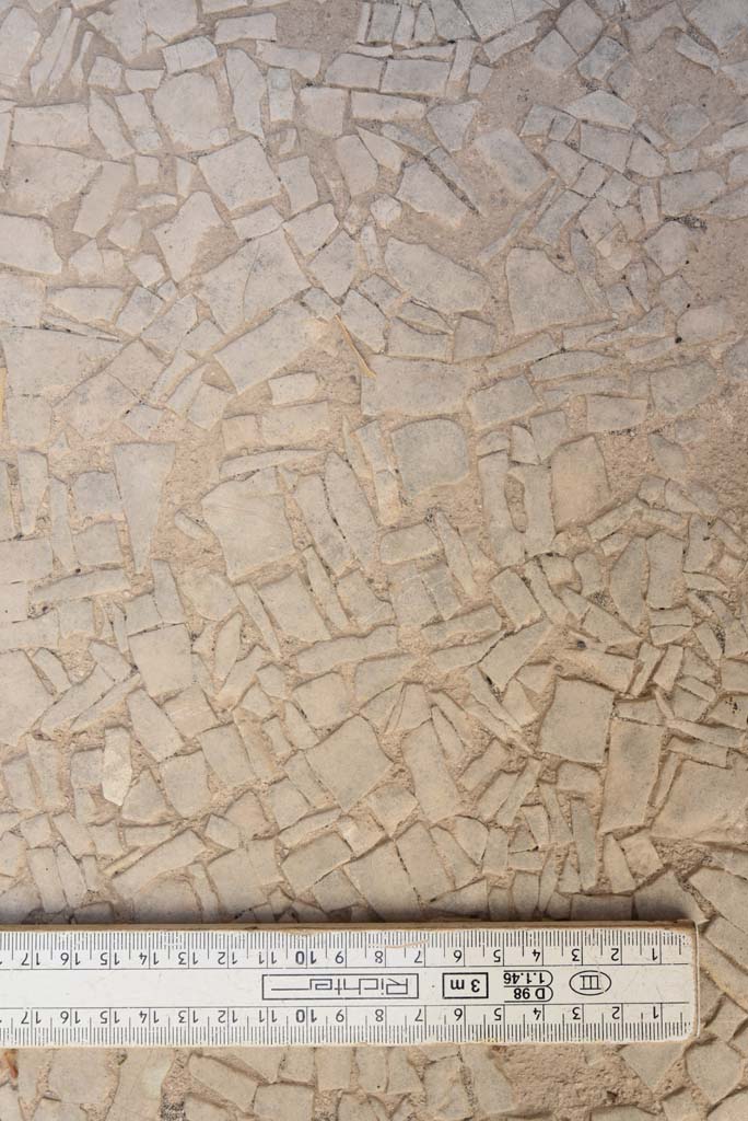 I.4.25 Pompeii. September 2020.
Unnumbered room next to room 30, (? room 66, cubiculum). Detail of flooring.
Foto Tobias Busen, ERC Grant 681269 DÉCOR.