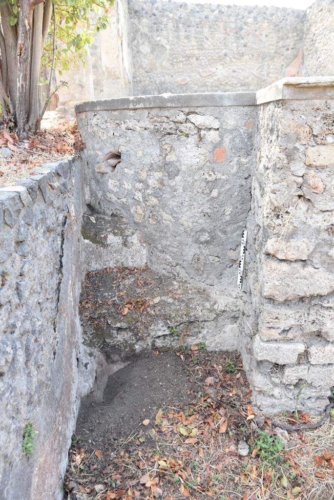 I.4.25 Pompeii. September 2020. 
Middle Peristyle 17, looking west towards detail (remains of steps) of pool on south side.    
Foto Tobias Busen, ERC Grant 681269 DÉCOR