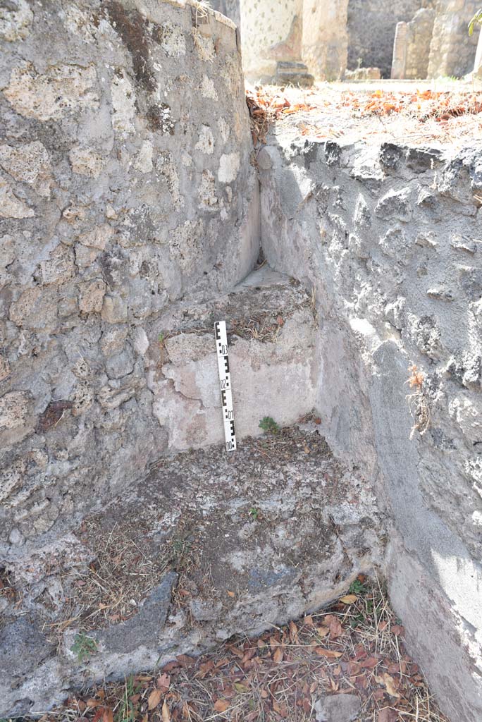 I.4.25 Pompeii. September 2020. 
Middle Peristyle 17, looking towards remains of steps at north end of rear of semi-circular pool.      
Foto Tobias Busen, ERC Grant 681269 DÉCOR