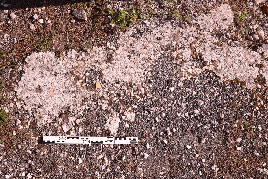 I.4.25 Pompeii. October 2019. Middle Peristyle 17, detail of remaining flooring near base of column on west portico. 
Foto Tobias Busen, ERC Grant 681269 DÉCOR