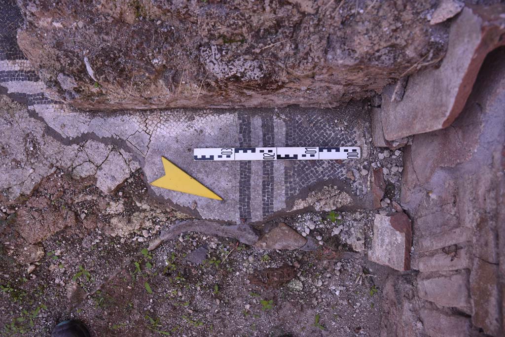 I.4.25/I.4.5 Pompeii. October 2019. Calidarium 41, detail of mosaic floor.
Foto Tobias Busen, ERC Grant 681269 DÉCOR.