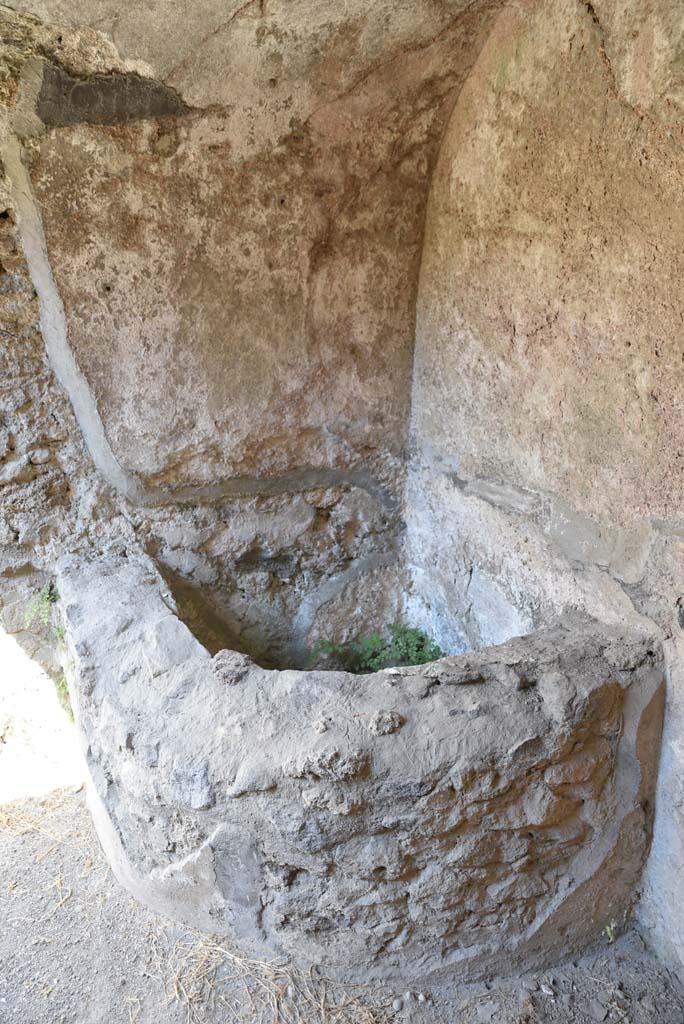 I.4.25/I.4.5 Pompeii. September 2020. 
Unnumbered corridor/room, basin/vat in vaulted area at east end of corridor with steps.
Foto Tobias Busen, ERC Grant 681269 DÉCOR.