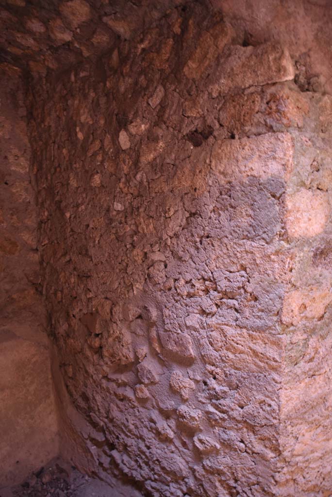 I.4.25/I.4.5 Pompeii. October 2019.  Unnumbered corridor/room, detail of west wall in vaulted area.
Foto Tobias Busen, ERC Grant 681269 DÉCOR.