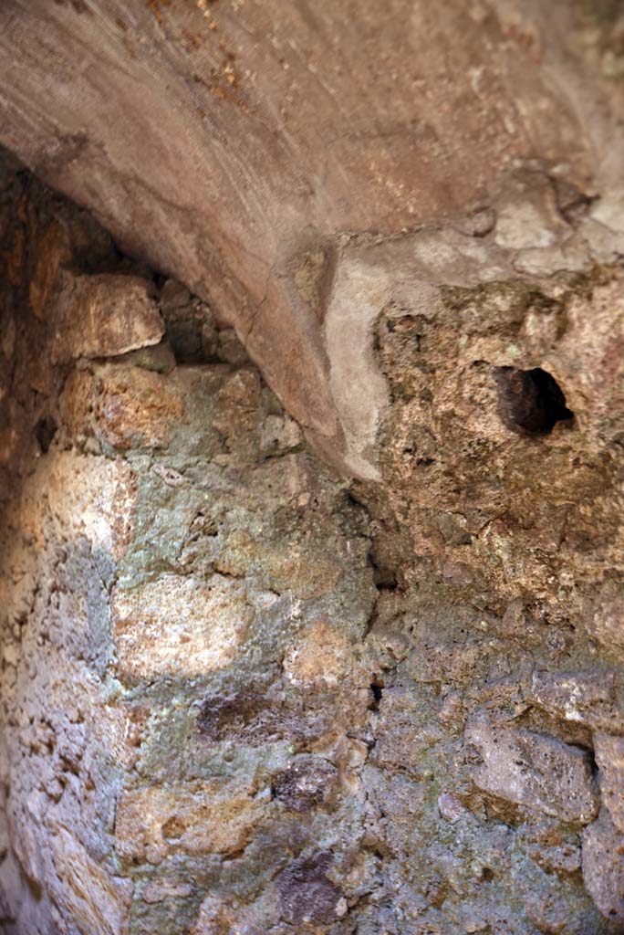 I.4.25/I.4.5 Pompeii. October 2019. Unnumbered corridor/room, detail from west wall. 
Foto Tobias Busen, ERC Grant 681269 DÉCOR.