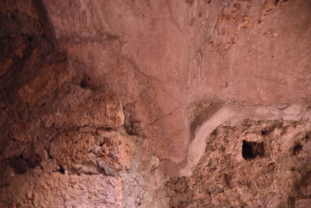 I.4.25/I.4.5 Pompeii. October 2019. Unnumbered corridor/room, detail from west wall of second vaulted area. 
Foto Tobias Busen, ERC Grant 681269 DÉCOR.