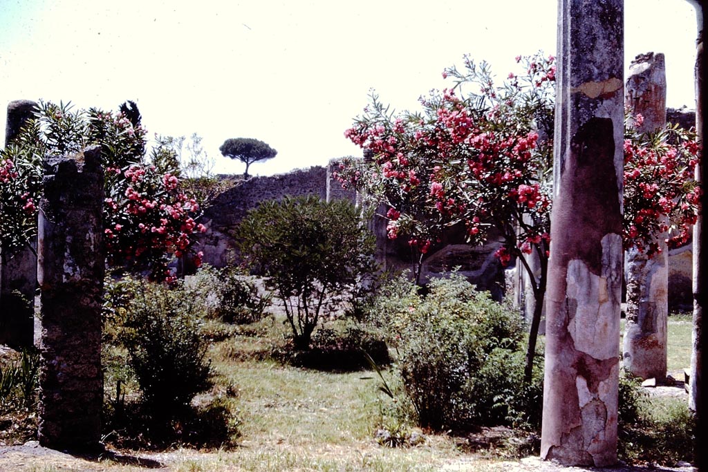 I.4.25 Pompeii. 1966. Looking south across upper peristyle 56, from north portico. Photo by Stanley A. Jashemski.
Source: The Wilhelmina and Stanley A. Jashemski archive in the University of Maryland Library, Special Collections (See collection page) and made available under the Creative Commons Attribution-Non-Commercial License v.4. See Licence and use details.
J66f0560