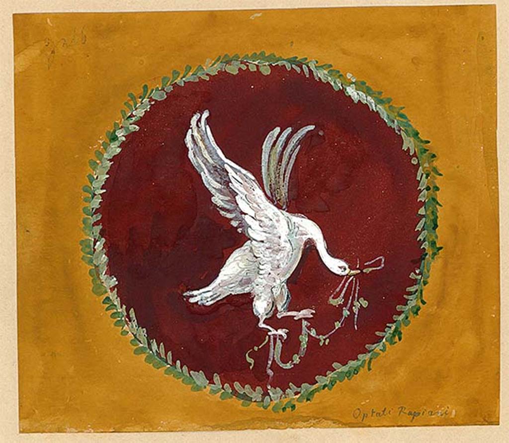 I.4.25 Pompeii. Painting of swan in flight from upper peristyle 56, north wall, east end. 
This is the first panel from the west in the Mau painting above. The artist is unknown.
DAIR 83.15. Photo © Deutsches Archäologisches Institut, Abteilung Rom, Arkiv. 
See Carratelli, G. P., 1990-2003. Pompei: Pitture e Mosaici: Vol. 1. Roma: Istituto della enciclopedia italiana, p. 164.