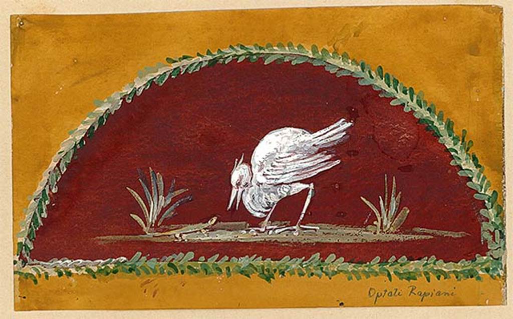 I.4.25 Pompeii. Painting of heron and lizard from upper peristyle 56, north wall, east end. 
This is from the third panel from the west in the Mau painting above. The artist is unknown.
DAIR 83.15. Photo © Deutsches Archäologisches Institut, Abteilung Rom, Arkiv. 
See Carratelli, G. P., 1990-2003. Pompei: Pitture e Mosaici: Vol. 1. Roma: Istituto della enciclopedia italiana, p. 164.