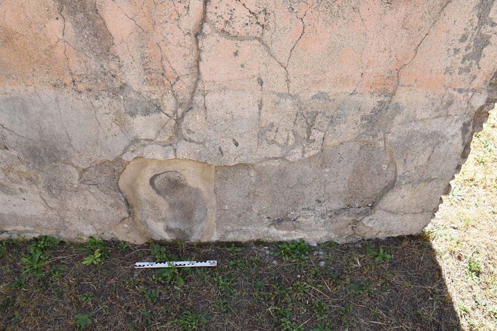 I.4.25 Pompeii. September 2020. Room 58, detail of zoccolo/dado of south wall of large room. 
Foto Tobias Busen, ERC Grant 681269 DÉCOR.