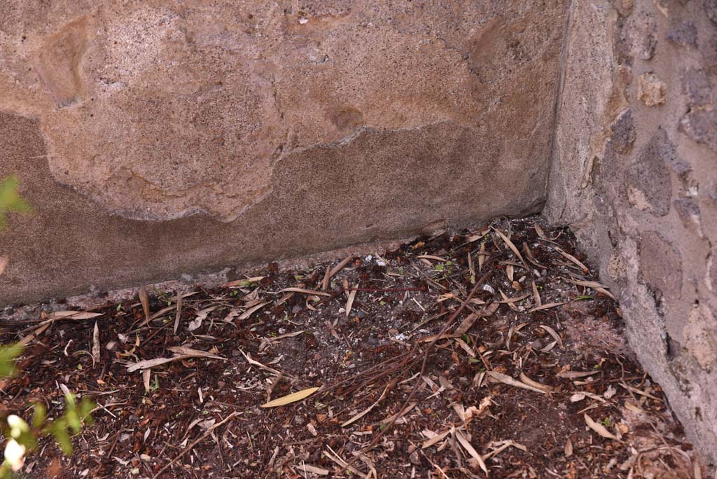 I.4.25 Pompeii. October 2019. Upper Peristyle 56, detail from west wall in north-west corner. 
Foto Tobias Busen, ERC Grant 681269 DÉCOR