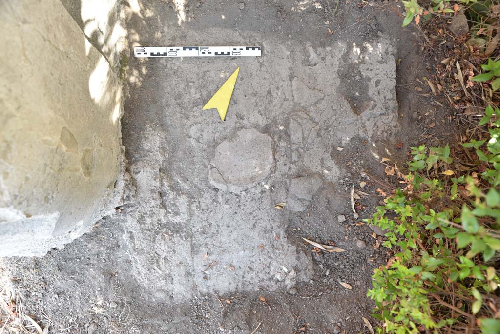I.4.25 Pompeii. September 2020. Upper Peristyle 56, detail from east of column in north-west corner, looking north.
Foto Tobias Busen, ERC Grant 681269 DÉCOR