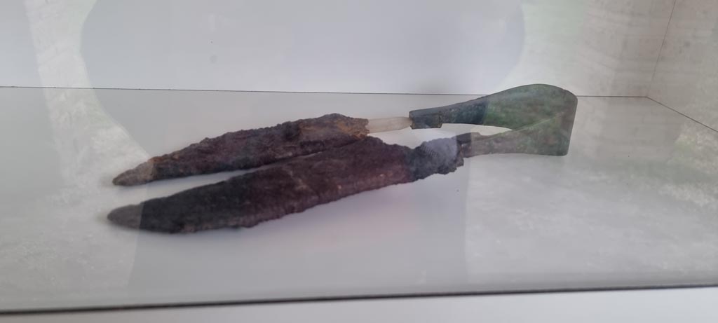 I.5.2 Pompeii. December 2023. 
Shears, on display in the tannery, with iron blades and bronze spring, found in room 43 of I.10.16, House of Menander. Photo courtesy of Miriam Colomer.