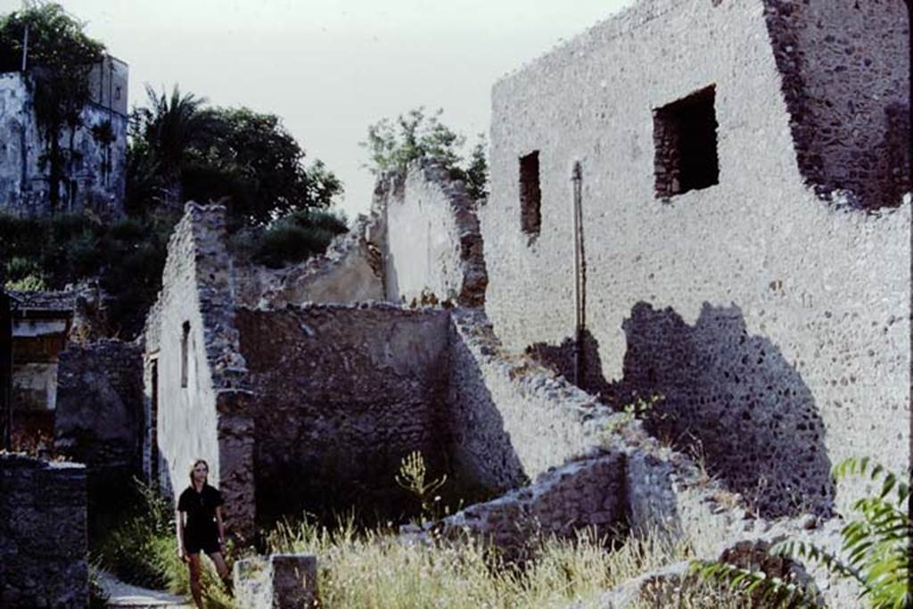 I.6.2 Pompeii. 1971. Looking north along passageway.  Photo by Stanley A. Jashemski.
Source: The Wilhelmina and Stanley A. Jashemski archive in the University of Maryland Library, Special Collections (See collection page) and made available under the Creative Commons Attribution-Non Commercial License v.4. See Licence and use details.
J71f0147